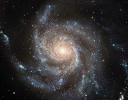 smalluniverse.jpg
